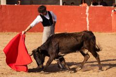 WhatsApp-Image-2026-04-10-at-16.35.53-2