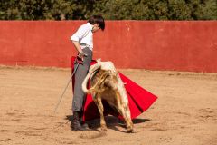 WhatsApp-Image-2026-04-10-at-16.35.54-2