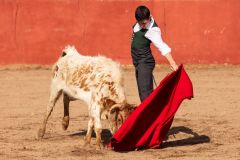 WhatsApp-Image-2026-04-10-at-16.35.54-4