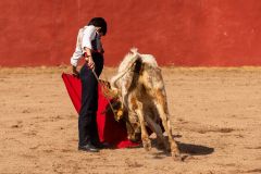 WhatsApp-Image-2026-04-10-at-16.35.54-5