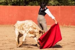 WhatsApp-Image-2026-04-10-at-16.35.54-6