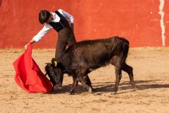 WhatsApp-Image-2026-04-10-at-16.35.54