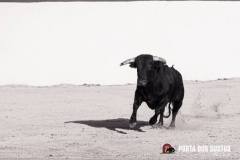 644A5769