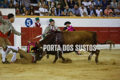 1V6A4757