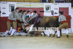 1V6A5622