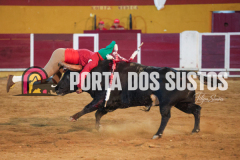 FIFS0655