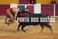 FIFS1000