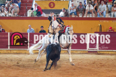 FIFS1140