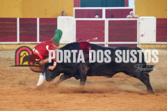 FIFS1167