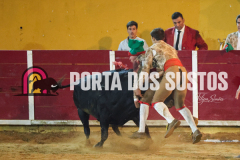 FIFS1497