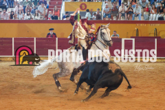 FIFS1563