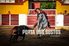 IMG_4559