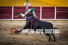 IMG_4633