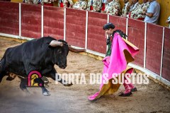 IMG_4782