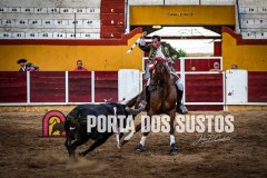IMG_5239