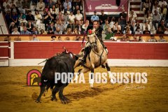 IMG_0710