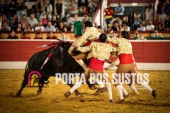 IMG_0881