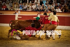 IMG_1577