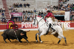 FIFS1263
