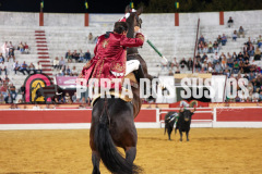 FIFS1286
