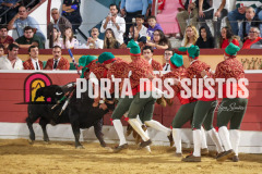 FIFS1579