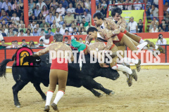 FIFS1061