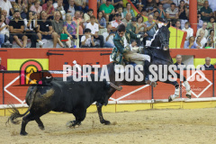 FIFS1206