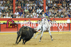 FIFS1450