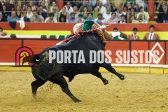 FIFS1550