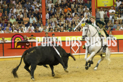 FIFS1647