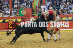 FIFS2014
