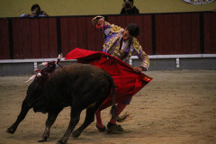 IMG_6319