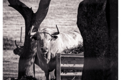 photo-output-4