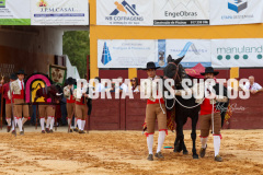 FIFS0746
