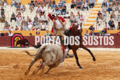 FIFS0982