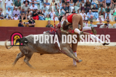 FIFS1559