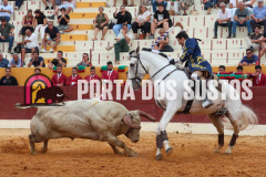 FIFS1653