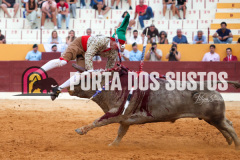 FIFS2014