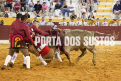 FIFS2522