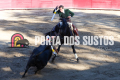 FIFS0816