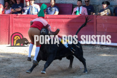 FIFS0961