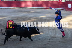 FIFS1569