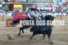 FIFS4045