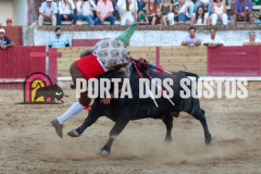 FIFS4146