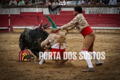 IMG_1095