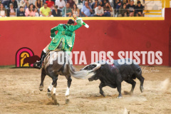 FIFS1201