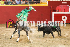 FIFS1209