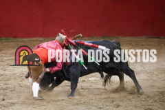 FIFS1249