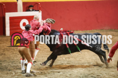 FIFS1282
