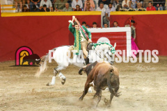 FIFS1361